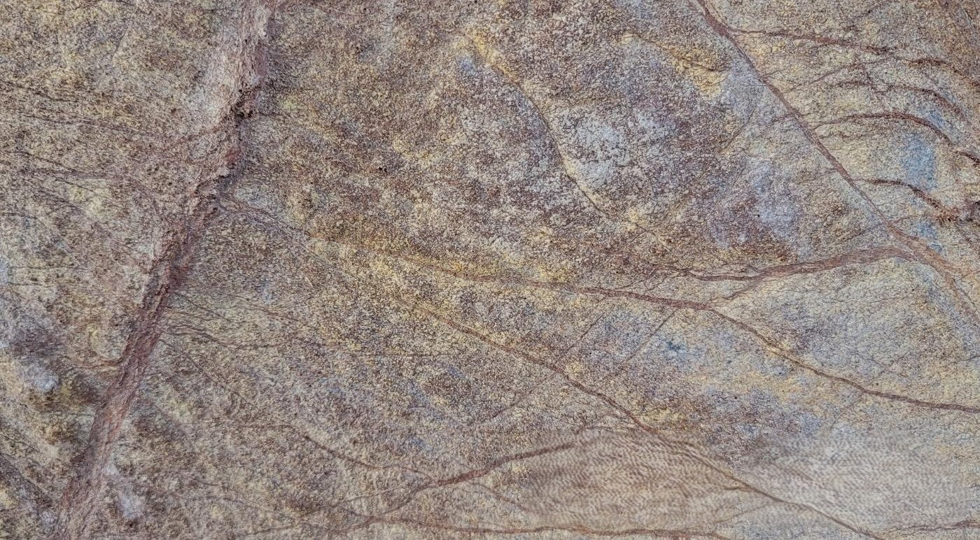 Rainforest Brown (Marble) (Standard + Large)