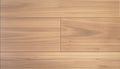 Blackbutt